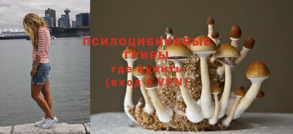 сатива Зеленодольск