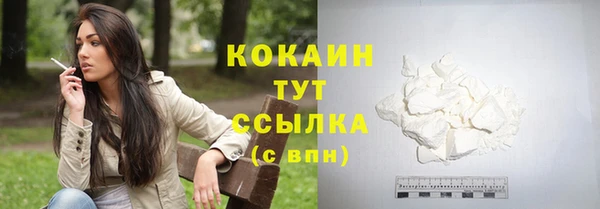 сатива Зеленодольск